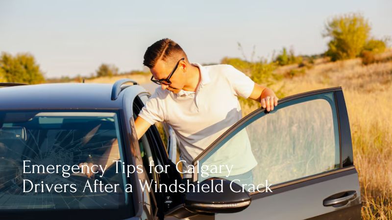 Emergency Tips for Calgary Drivers After a Windshield Crack